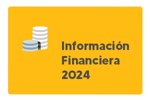 Información Financiera 2024