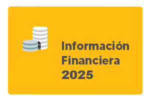 Información Financiera 2025
